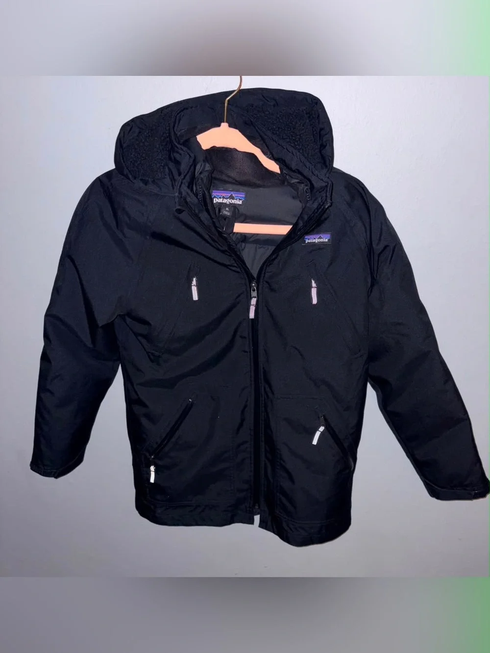 Patagonia Kids Black Hooded Puffer Jacket
